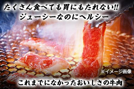 熊本県産 あか牛 焼き肉用 450g《120日以内に出荷予定(土日祝除く)》 肉のみやべ---sm_fmiyaakaya_120d_23_15500_450g---