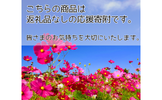 【返礼品なし】福岡県築上町応援寄附金（1口10000円）《築上町》【築上町役場】 10000円 1万円 [ABZZ003]
