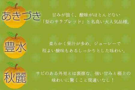 『さかもと果樹園』の玉東梨 約5kg 6玉-18玉前後 《8月中旬-9月末頃出荷》【日付指定・品種指定不可】 熊本県玉名郡玉東町 梨 なし 果物 フルーツ 旬の梨---sg_csksyun_bc8_25_14000_5kg---