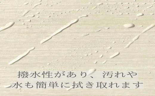 D17-09 お掃除ロボット収納基地【ホワイトハート】