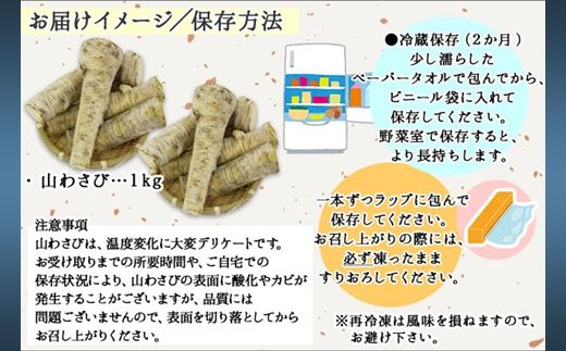 3165.天然 山わさび 1kg前後 産地直送 薬味 肉 BBQ バーベキュー 焼き肉 送料無料 北海道 弟子屈町