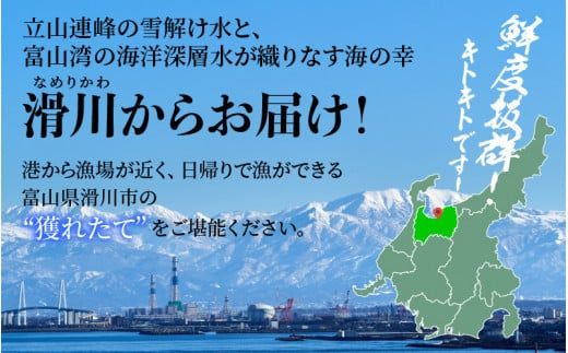 【先行予約】ボイル紅ズワイガニ 大サイズ 冷蔵配送【(株)川村水産】※発送前に在宅確認の電話連絡をいたします！※9月中旬以降順次発送予定