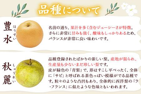 『谷口農園』の玉東梨　約3kg 予約受付中《8月中旬-10月中旬頃出荷》熊本県 玉名郡 玉東町 梨 ナシ フルーツ 果物 送料無料 ギフト 贈答---sg_ctaninashi_q810_24_12000_3kg---