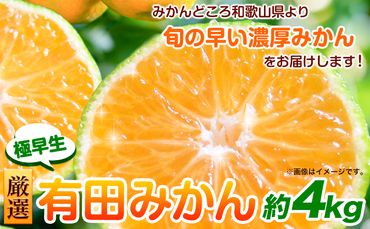 [先行予約]厳選 極早生有田みかん4kg+120g(傷み補償分)[YN26・ゆら早生]池田鹿蔵農園@日高町(池田農園株式会社)[9月中旬-11月中旬頃出荷]和歌山県 日高町 みかん 早生みかん 極早生 蜜柑 ミカン 柑橘 有田みかん 有田ミカン[配送不可地域あり]---wsh_idn45_9c11c_24_10000_4kg---