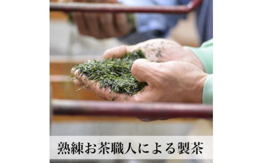 八女茶 新茶 星野村の八女茶　飲み比べ3本セット