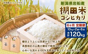 F4009 【令和6年産米】新潟県岩船産  棚田米コシヒカリ20kg×6ヶ月お届け