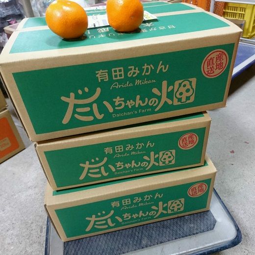 有田みかん 3kg（2S～Sサイズ小玉ちゃん）木成り完熟【ご家庭用】大ちゃんの畑農園  CA13