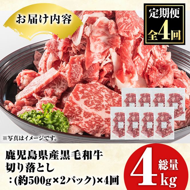＜定期便・全4回(隔月)＞鹿児島県産！黒毛和牛切り落とし定期便(総量4kg)国産 九州産 鹿児島産 牛肉 国産牛 切り落とし 切落し 赤身 小分け 頒布会【スターゼン】akn042-24