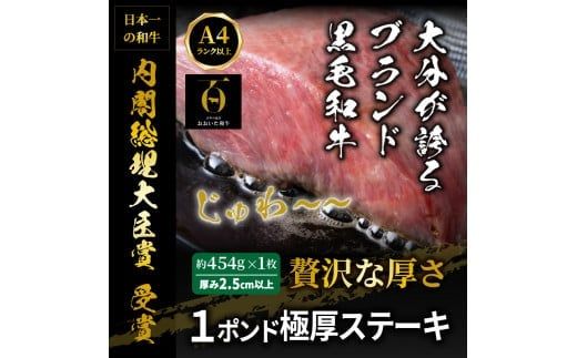 【A4～A5等級】まさに肉のエアーズロック〃おおいた和牛１ポンド極厚ステーキ_29365A