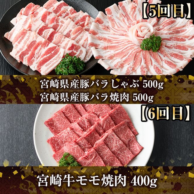 ＜定期便・全6回(連続)＞宮崎牛と県産豚の定期便(総量6.8kg)  牛肉 豚肉 もも 肉 肩ロース ウデ しゃぶしゃぶ 焼肉 豚バラ BBQ 精肉 小間切れ 豚小間 豚こま お取り寄せ 黒毛和牛 ブランド和牛 冷凍 国産【R-81】