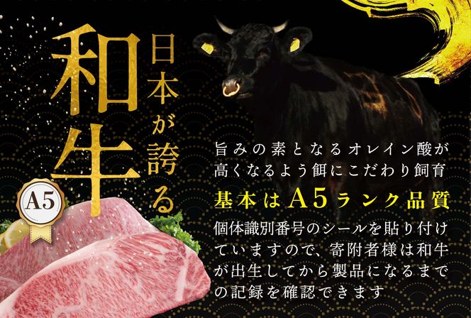 贅沢 ハンバーグ 150g×6個 北海道 別海町産 黒毛和牛「 名人和牛」 A5クラス 牛肉 100％ 使用