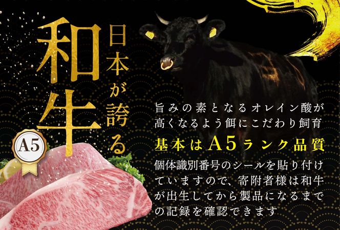 贅沢 ハンバーグ 150g×6個 北海道 別海町産 黒毛和牛「 名人和牛」 A5クラス 牛肉 100％ 使用 TB0000003