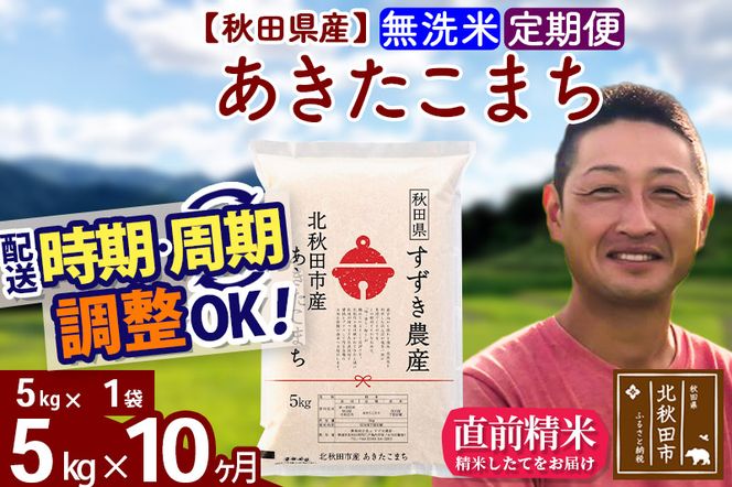 定期便10ヶ月》秋田県産 あきたこまち 5kg【無洗米】(5kg小分け袋) 令