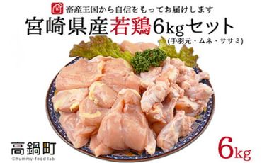 【6月発送】＜宮崎県産若鶏3種 計6kgセット＞【c504_hn_x3-jun】