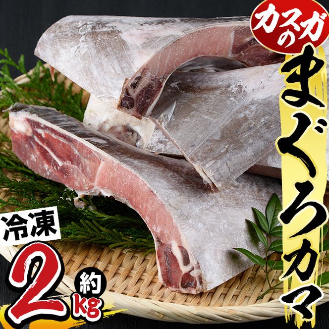 マグロのカマ (計約2kg・400g×5P) 冷凍 マグロ メバチマグロ キハダマグロ カマ 塩焼き 酒蒸し 煮つけ バーベキュー 魚 海鮮 小分け 大分県 佐伯市【DH185】【(株)ネクサ】