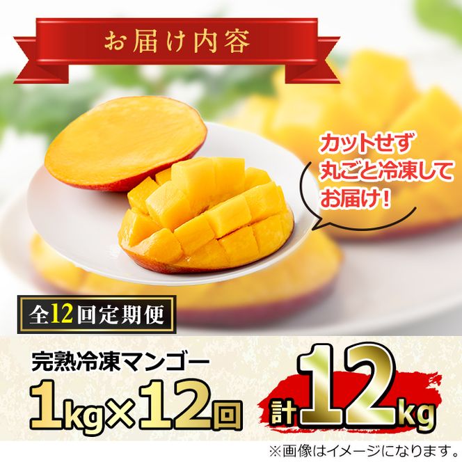【156951】＜定期便・全12回(連続)＞鹿児島県産！南国の恵み！丸ごと冷凍完熟マンゴー(1kg×12回)果物 フルーツ 果実 冷凍 デザート 国産【甘宮】