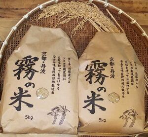 亀岡盆地『霧の米』 玄米 5kg×2袋 計10kg[アスカ有機農園][令和6年産 特別栽培米 コシヒカリ 米]京都丹波産 特A