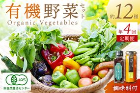 【年4回定期便】＜てんとうむしばたけ＞オーガニック野菜&調味料セット　有機野菜11～12種(4人用)＆調味料2種　BR00051