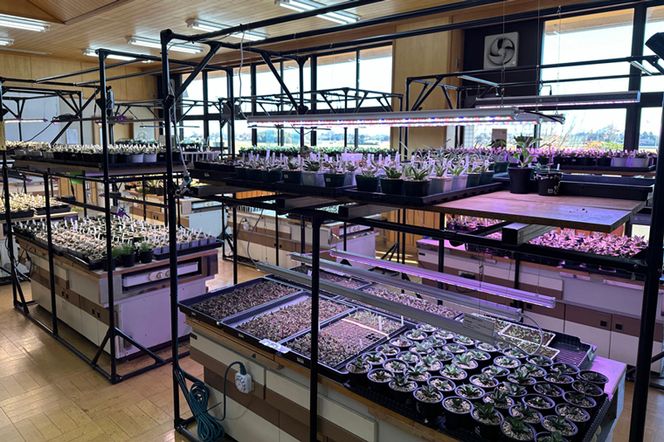 BN014-1 あらゆる植物・野菜・果樹に使用できる広角照射モデル BN014-1 あらゆる植物・野菜・果樹に使用できる広角照射モデル