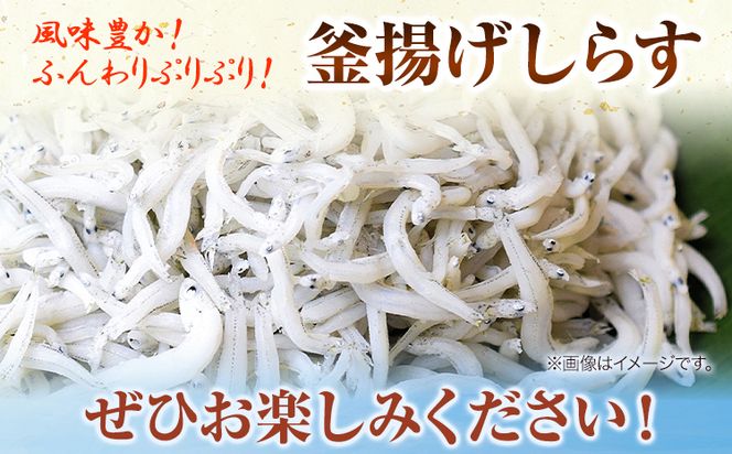 冷凍釜揚げしらす 300g 大五海産《60日以内に出荷予定(土日祝除く)》和歌山県 日高町 釜揚げ しらす 魚 いわし 和歌山県産 送料無料---wsh_fdig4_60d_23_10000_300g---