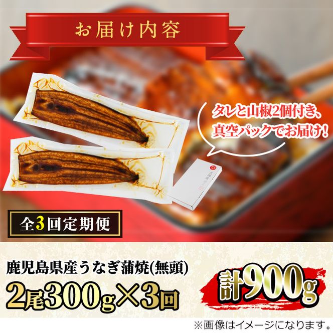 y̑Sǒzy36039zցES3񁄓ǒ̂Ȃ()(2Ev300gE^ARt×3)Ȃ  EiM V Y  Ă   ӂ邳 lCyANA݁z