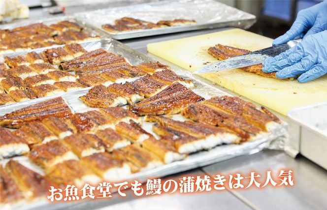 015B230 国産うなぎ 蒲焼き 3尾 総量400g以上