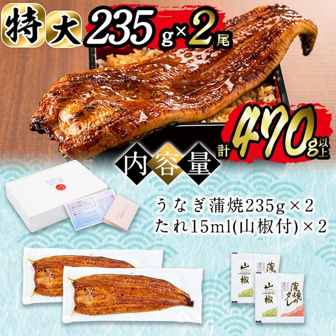 日ノ本一の鰻の蒲焼き＜特大＞2尾セット(計470g以上) b3-010