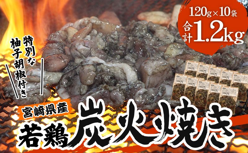 宮崎の名店「宮崎肉魚青木」県産若鶏炭火焼き しお 冷凍パック 120g×10袋_M210-001_01