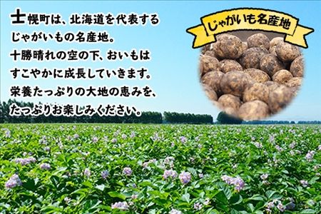 北海道 じゃがいも キタアカリ 10kg 北海道産 十勝産 きたあかり 北あかり ジャガイモ 芋 いも ポテト お取り寄せ まとめ買い 送料無料 十勝 士幌町【V04】