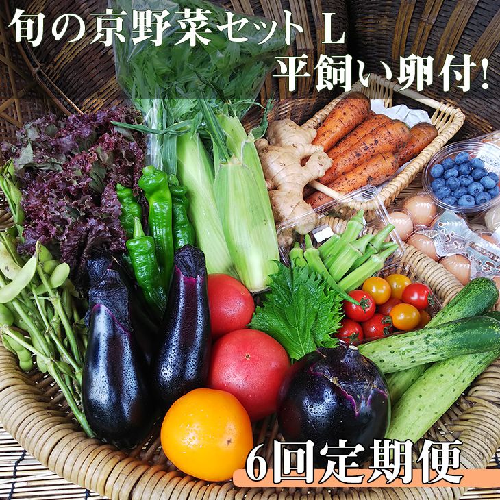 [6回定期便][アスカ有機農園]旬の京野菜セットL(平飼い卵付)*毎月お届け全6回