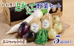 099H2857 ねね屋のとれたて野菜セット 5品目以上 詰め合わせ