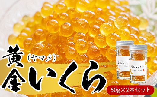 希少★限定◆黄金のイクラ ◆山女魚★希少★やまめ★業務用1kg☆国産のキャビア TVで紹介】【幻の珍味】「黄金いくら」2本セット（ヤマメの卵