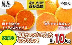 【先行予約】【家庭用】清見オレンジ＋不知火ミックスセット 計10kg｜柑橘 みかん ミカン フルーツ 果物 愛媛 ※2025年3月上旬頃より順次発送予定 ※離島への配送不可