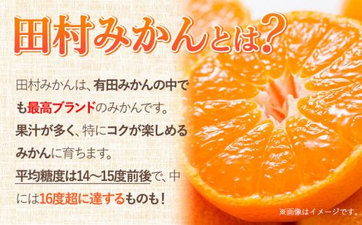 みかん 田村みかん 特選 ギフト 3kg サイズ指定なし 株式会社とち亀物産《11月下旬-1月中旬頃出荷予定(土日祝除く)》和歌山県 日高町 フルーツ くだもの 果物 柑橘 旬 ノーワックス 送料無料 紀伊国屋文左衛門本舗 贈答用---wsh_tkttmk_h111_22_14000_3kg---