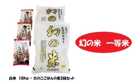 【令和5年産】コシヒカリ「幻の米一等米 10kg」+「きのこご飯の素」セット(5-8B)