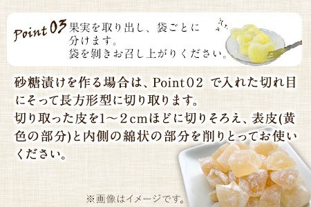 森田果樹園の晩白柚 1玉 森田果樹園《11月下旬-2月末頃出荷》果物 フルーツ サボン 熊本---sh_moribanpe_cf112_24_13000_1t---