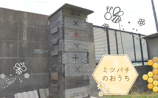 【福岡県築上町産】上村さん家の はちみつ 「 築上町の 和蜜 」600g《築上町》【上村　忍】[ABBX002]