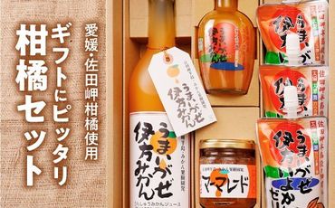 【愛媛県産柑橘使用】四国のしっぽ発 うまいがぜセット