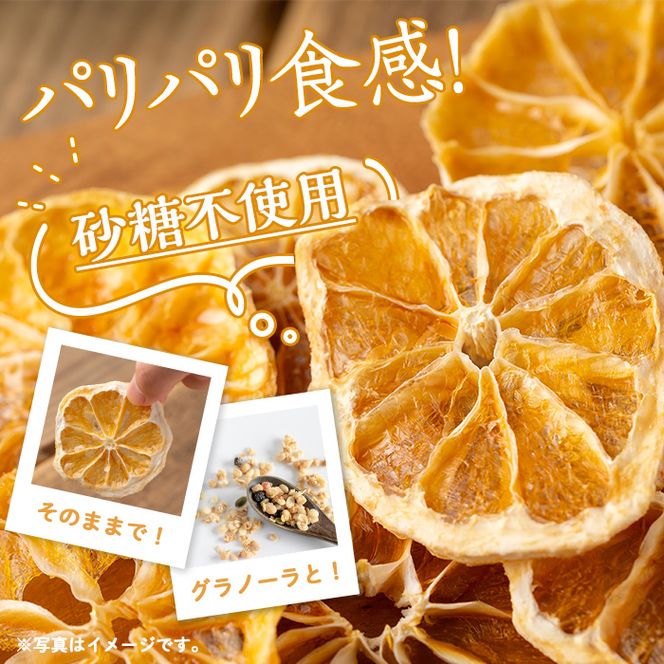 isa567 ドライフルーツ日向夏「そのまんまドライしました。」(計12袋・各20g) 【薩摩美食倶楽部】