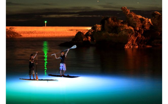 【ハレタオーシャンサポート】夜遊び【サンセット＆ナイトSUP】2名様