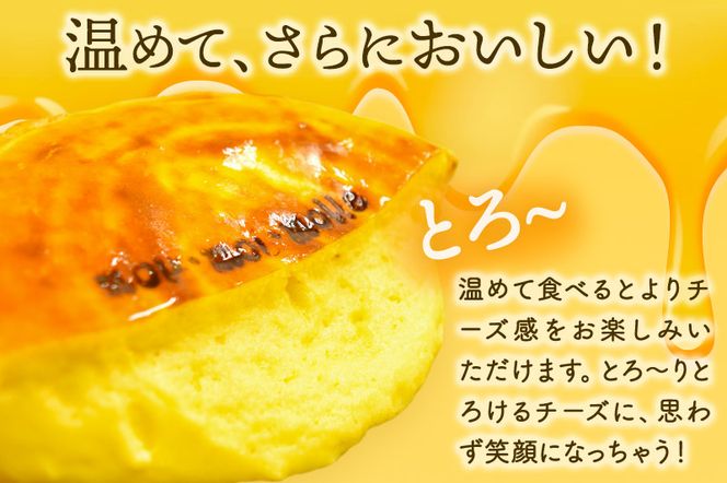 【みやぎ蔵王産クリームチーズ使用】濃厚窯出しチーズパイ|06_pcf-150101