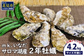 サロマ湖産 殻付き2年牡蠣 4.2kg サイズ不揃い ※牡蠣ナイフ付 ( カキ かき 4.2キロ 魚介 海鮮 貝 ふるさと納税 BBQ バーベキュー )【113-0014-2024】