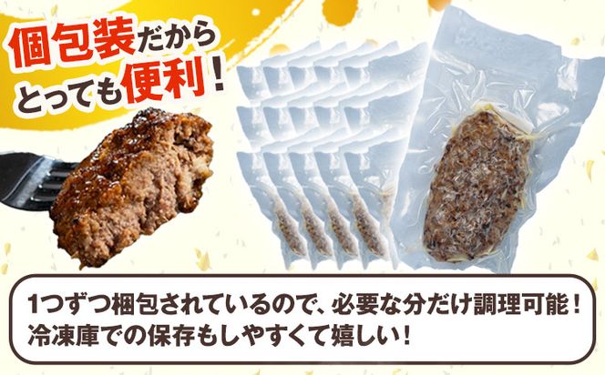 馬肉ハンバーグ 16個セット 130g×16個 千興ファーム 《60日以内に出荷予定(土日祝除く)》 熊本県 御船町 ハンバーグ 馬肉ハンバーグ 馬肉 個包装 真空パック 人気 送料無料 専門店 冷凍惣菜 冷凍 時短---mifune_snk_25_16set---