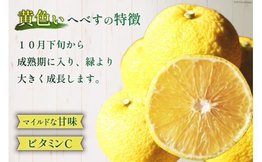 【期間限定発送】 おひさまへべす ひなたGAP認定 ふぞろい 2kg [へべすの悠美園 宮崎県 日向市 452060723] へべす ヘベス 宮崎 果物 フルーツ くだもの 柑橘 ポン酢 調味料 果汁