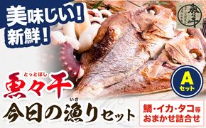 A-135 魚々干 今日の漁りセット Aセット 灰干し 鯛 イカ タコ 特定非営利活動法人 かさおか島づくり海社《45日以内に出荷予定(土日祝除く)》岡山県 笠岡市 魚 さかな 干し おまかせ 詰め合わせ 天然魚介 魚介---A-135---