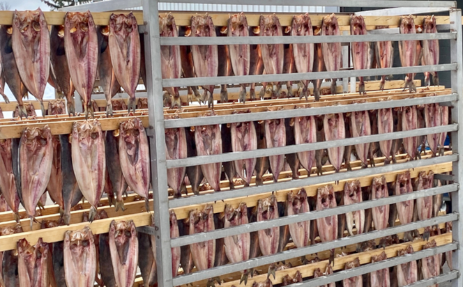 ほっけの開き 10枚（200～300g前後） オホーツク産 真ほっけ SRMA026