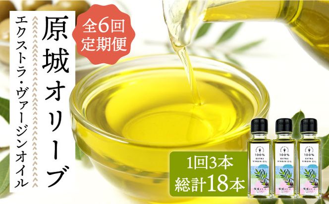 【6回定期便】 原城 オリーブ エクストラ・ヴァージンオイル 100ml 3本 / オリーブオイル オイル 油 調味料 / 南島原市 / ミナサポ [SCW058]