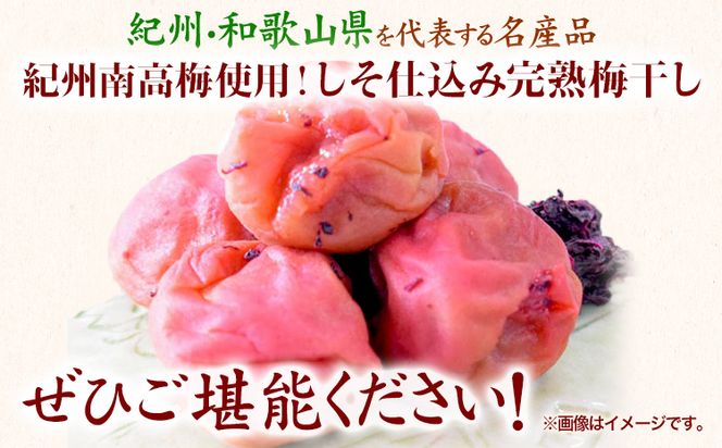 紀州南高梅使用 しそ仕込み完熟梅干し 無選別 1kg 厳選館《90日以内に出荷予定(土日祝除く)》和歌山県 日高町 梅干し しそ仕込み 紀州南高梅 送料無料---wsh_gsk96_90d_25_15000_1kg---