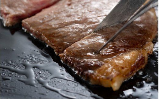 冷蔵発送/おおいた和牛サーロインステーキ600ｇ_1792R