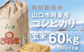 B061 特別栽培米阿東産コシヒカリ玄米60kg